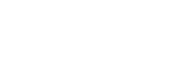 ARZOIN LTD